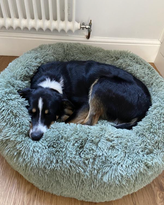 Calming Donut Plush Pet Bed